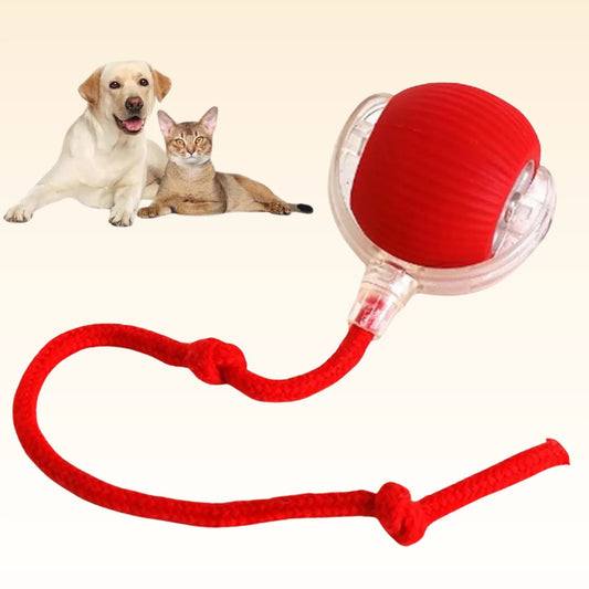 1x Interaktivna igračka za mačke